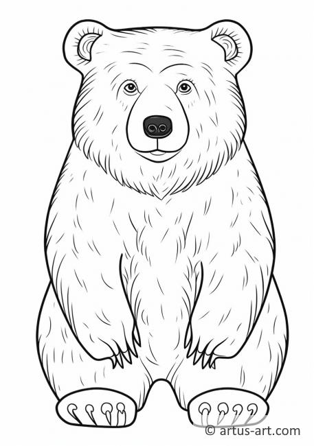 American black bear Coloring Page